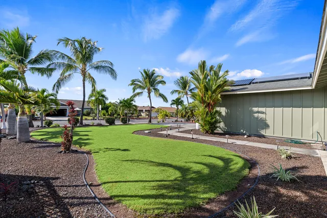 a palm tree sitting in front of a house with a yard