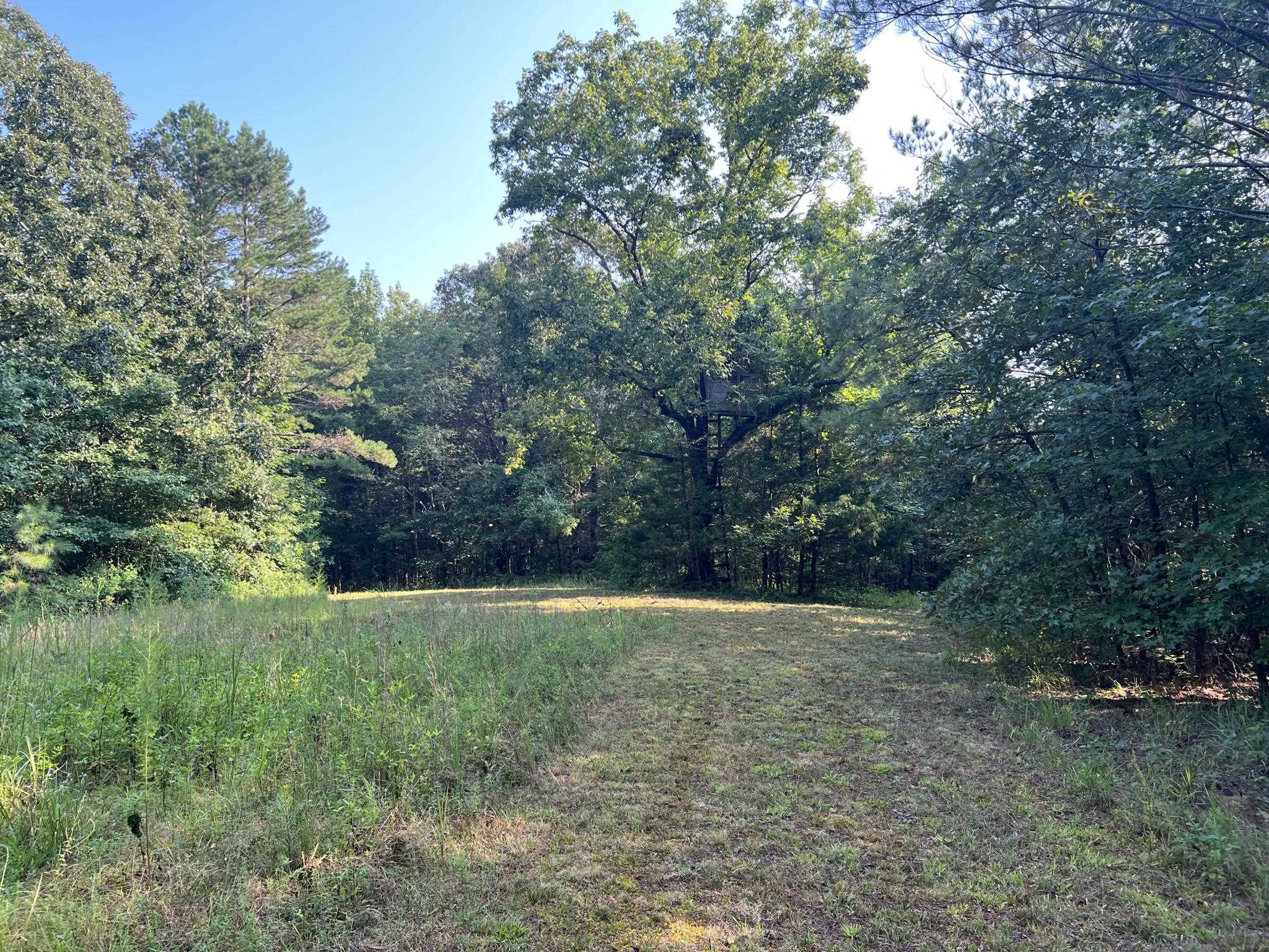 751 Bullman Road Finger, TN 38334 - Photo 18 of 22 a view of outdoor space and yard