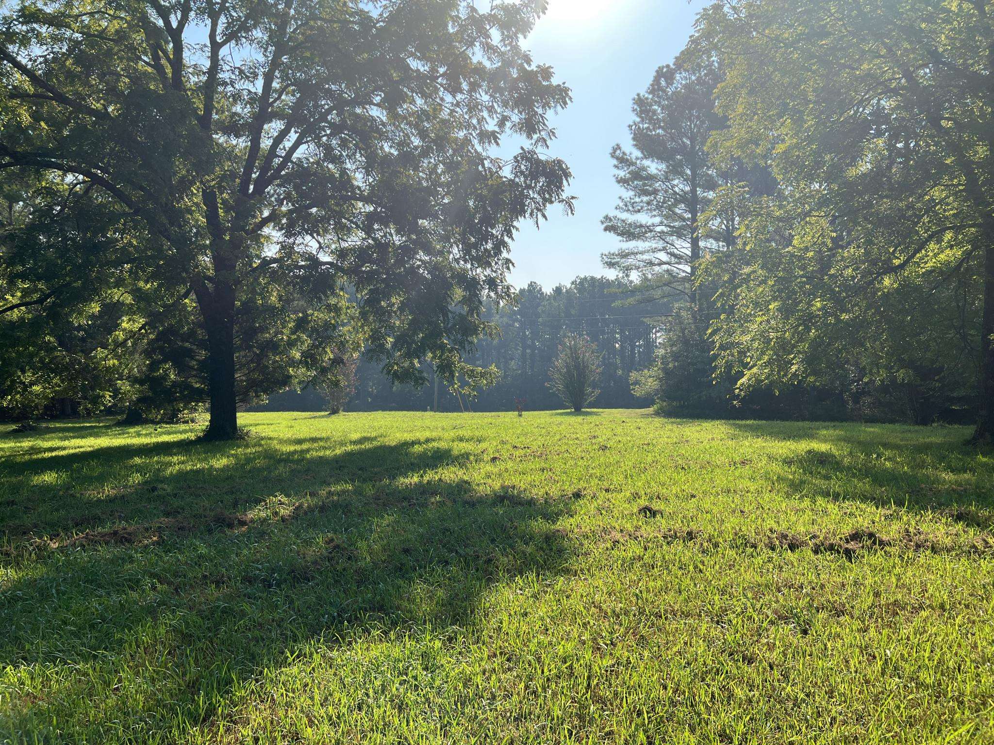 751 Bullman Road Finger, TN 38334 - Photo 19 of 22 a view of swimming pool and trees in the background