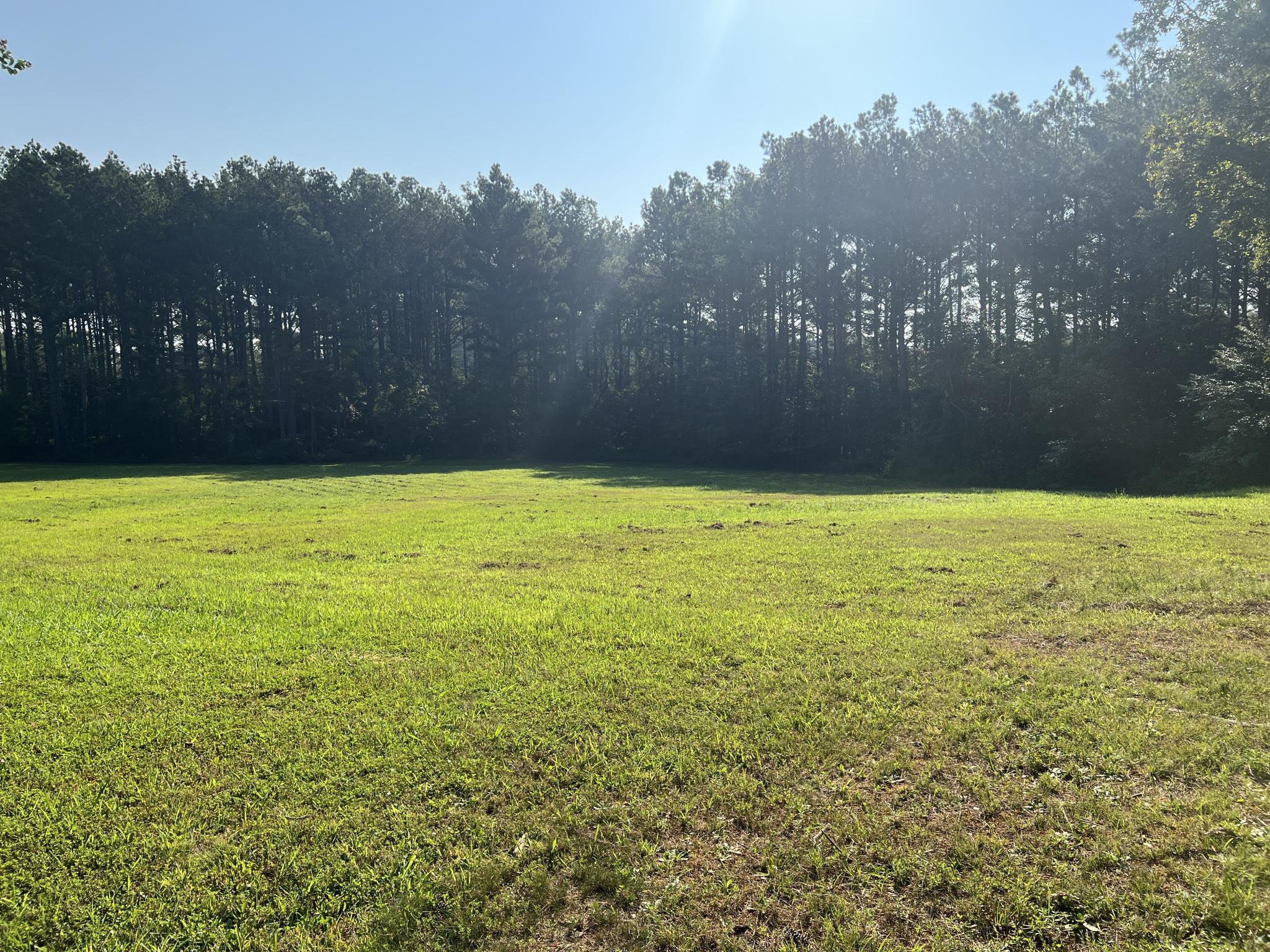 751 Bullman Road Finger, TN 38334 - Photo 20 of 22