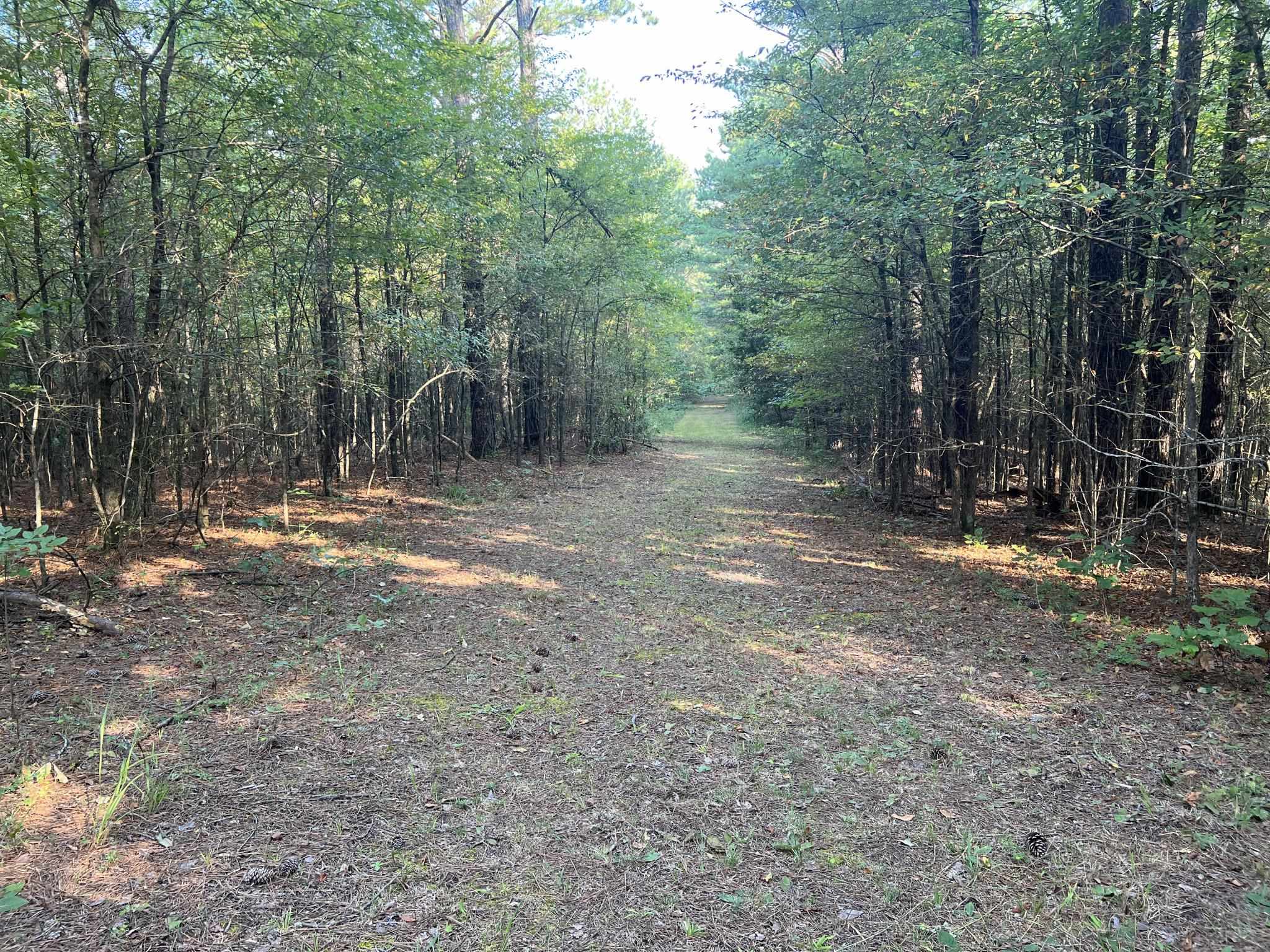 751 Bullman Road Finger, TN 38334 - Photo 21 of 22 a view of outdoor space with trees
