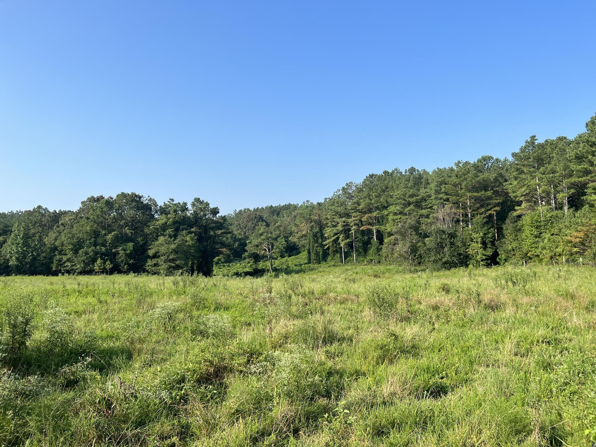 751 Bullman Road Finger, TN 38334 - Photo 22 of 22 a view of a lush green space