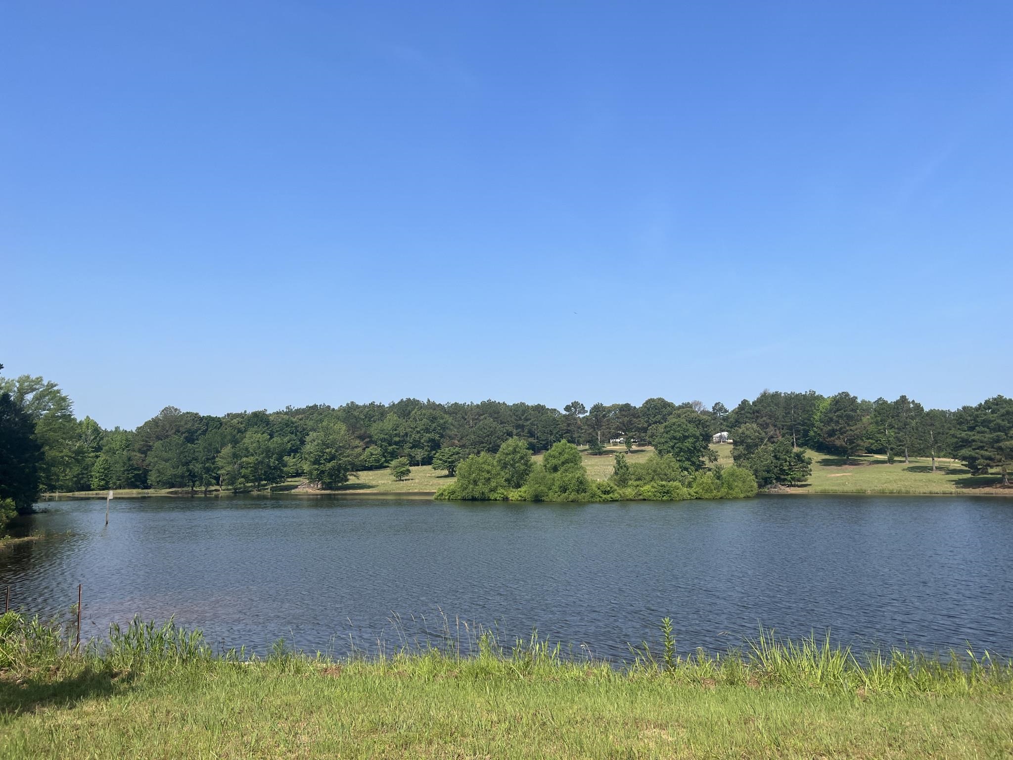 751 Bullman Road Finger, TN 38334 - Photo 4 of 22 a view of a lake with houses in the background