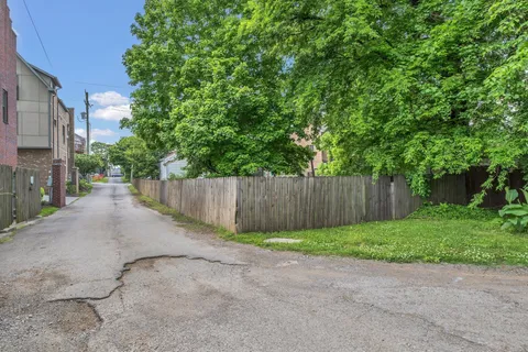 a view of a backyard with plants and large trees