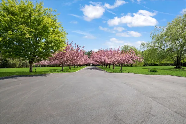 a view of street with entertaining space