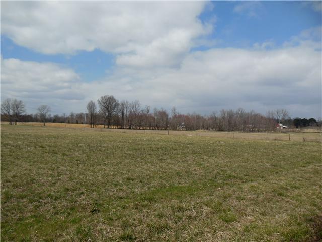 3 Logan Road Greenbrier, TN 37073 - Photo 1 of 3 Gallery Image 1