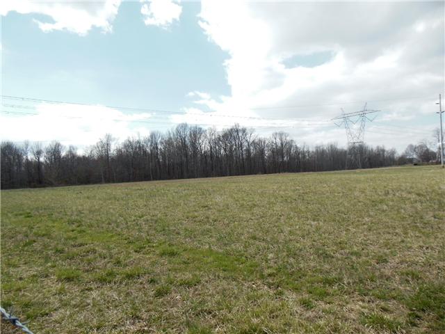 3 Logan Road Greenbrier, TN 37073 - Photo 3 of 3 Gallery Image 3