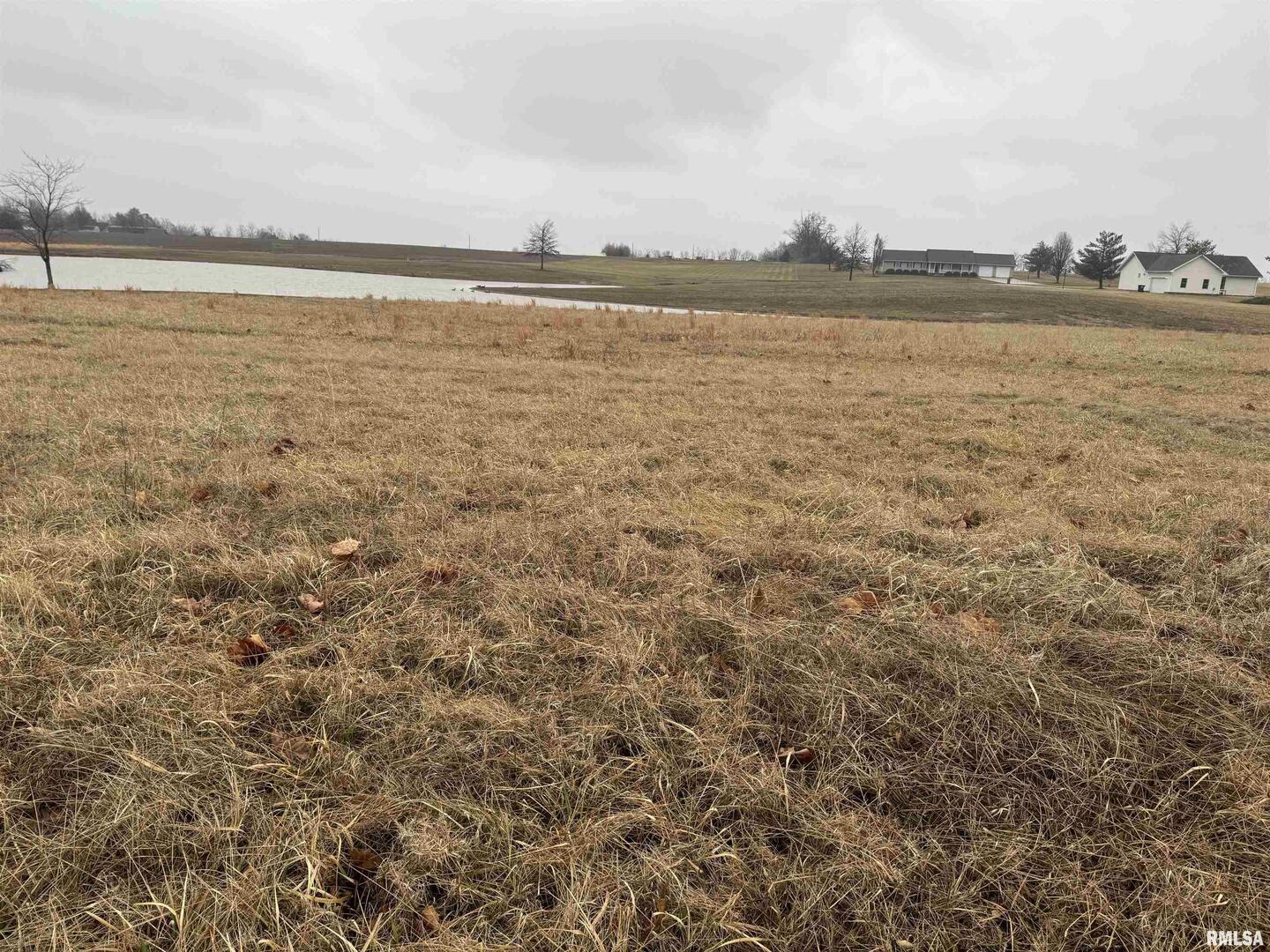 Lot 1-2 Raleigh Road Eldorado, IL 62930 - Photo 3 of 6 a view of an ocean