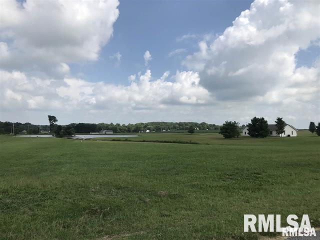 Lot 1-2 Raleigh Road Eldorado, IL 62930 - Photo 4 of 6 a view of a field with an ocean
