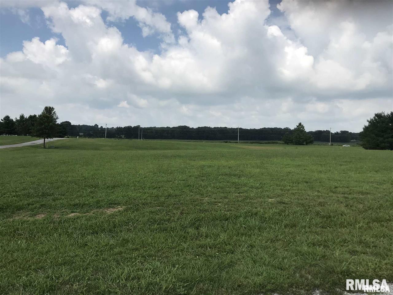 Lot 1-2 Raleigh Road Eldorado, IL 62930 - Photo 5 of 6 a view of a golf course with a lake