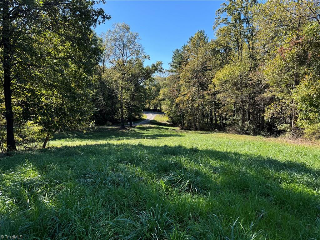115 Rippling Water Lane Dobson, NC 27017 - Photo 13 of 17 Gallery Image 13