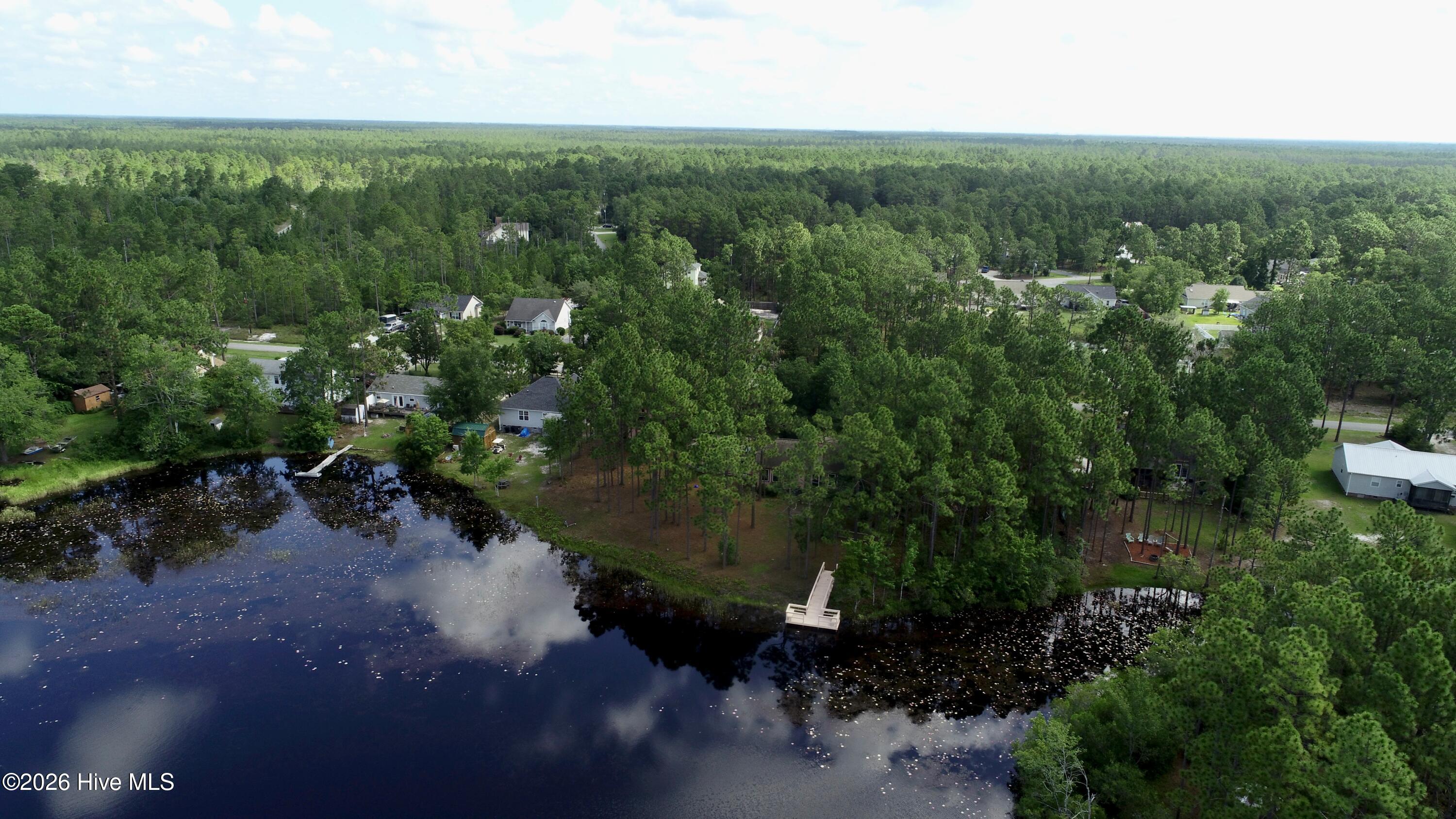 1400 Cottage Road Boiling Spring Lakes, NC 28461 - Photo 51 of 56 Stock lake photo. Representative.