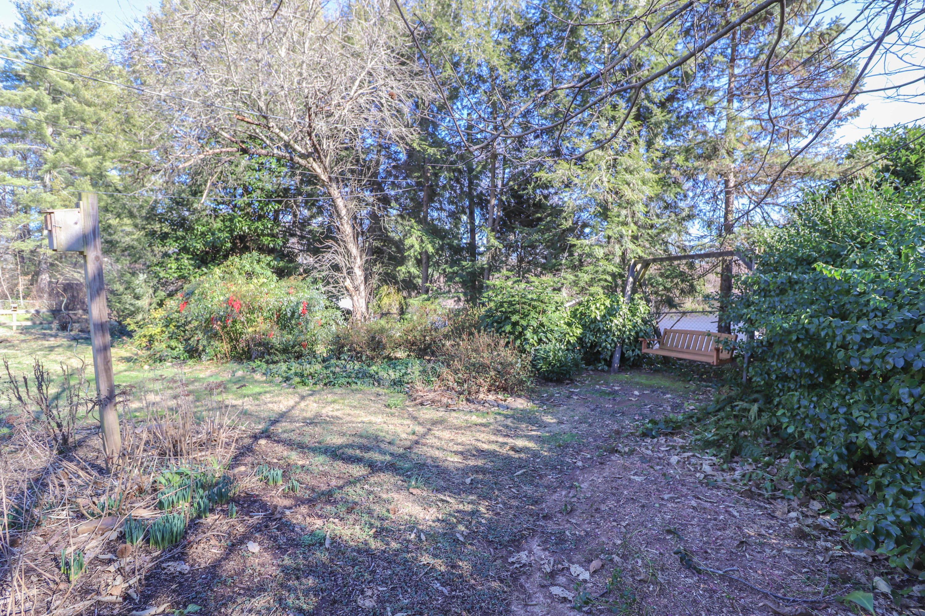 4501 Robindale Road Knoxville, TN 37921 - Photo 4 of 21 relaxing swing