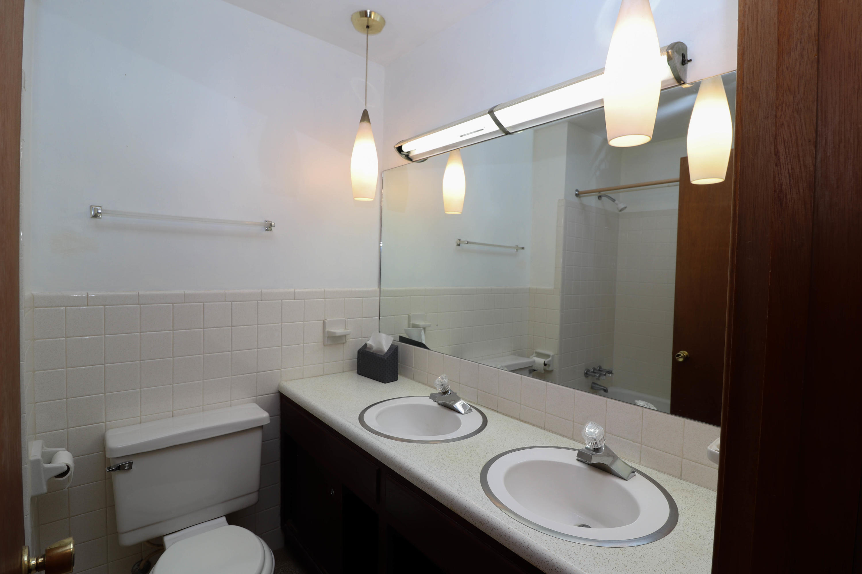 4501 Robindale Road Knoxville, TN 37921 - Photo 10 of 21 main bathroom
