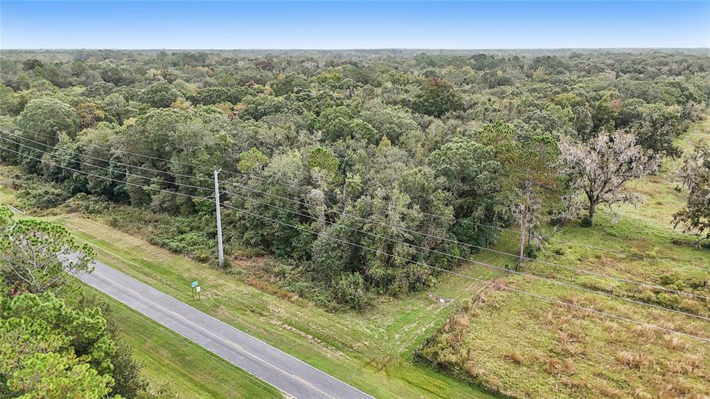 0 West Edwards Road Starke, FL 32091 - Photo 7 of 10 a view of a yard with an trees