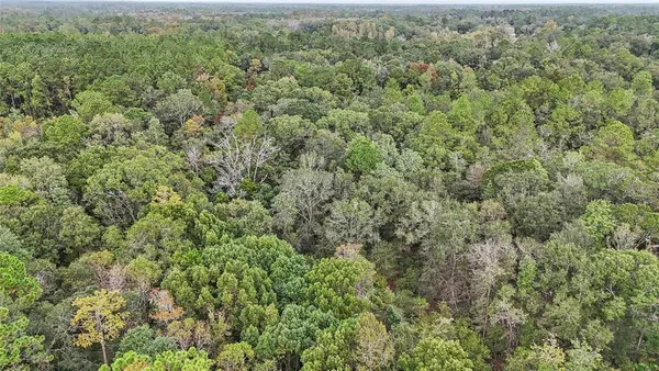 with a big yard with lots of green space