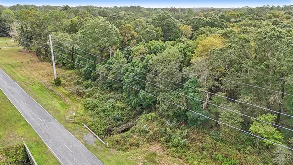 a view of a forest from a balcony
