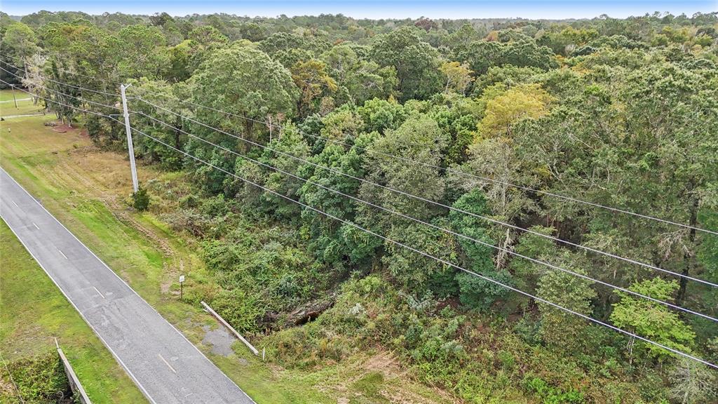 0 West Edwards Road Starke, FL 32091 - Photo 9 of 10 a view of a forest from a balcony