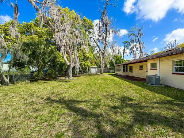 a view of a backyard with plants and large trees