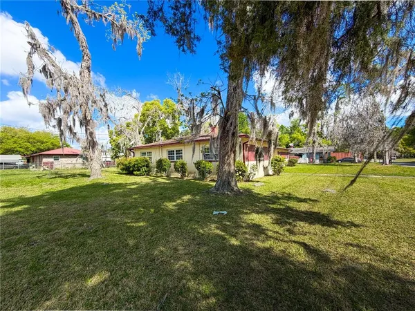 a view of a park with large trees