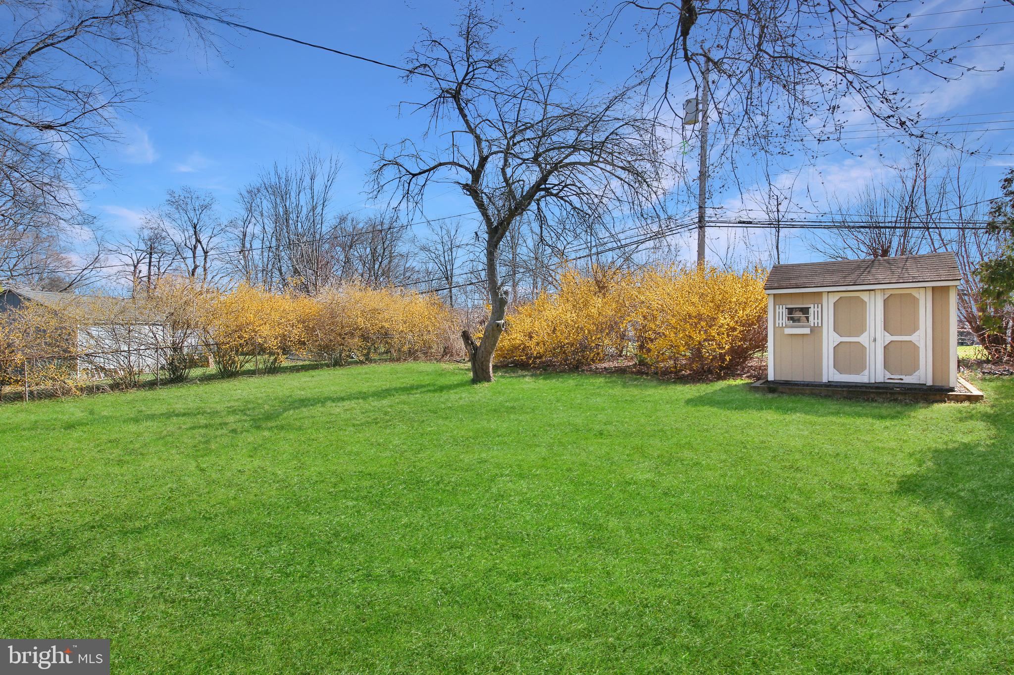 986 Coronet Road Warminster, PA 18974 - Photo 17 of 17 a view of a backyard with plants and large trees