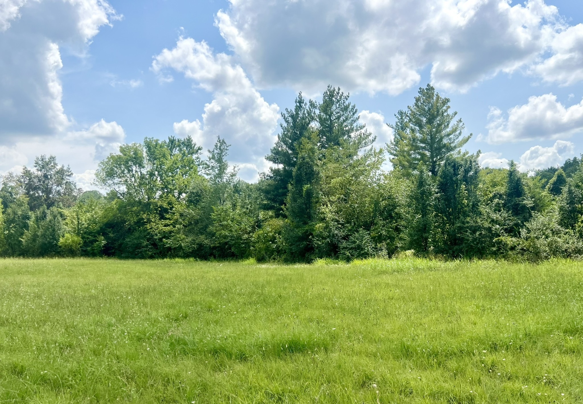 0 Martin Road Portland, TN 37148 - Photo 21 of 26 Gallery Image 21