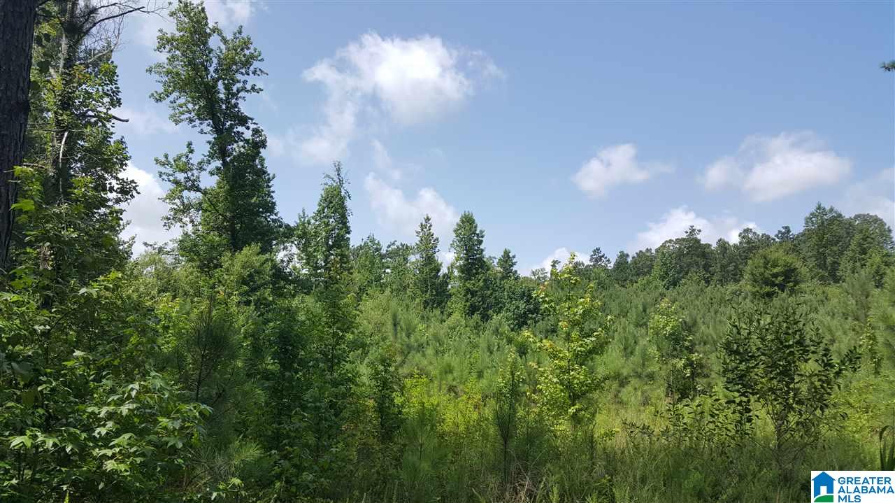 2164 Morton Road Warrior, AL 35180 - Photo 1 of 4