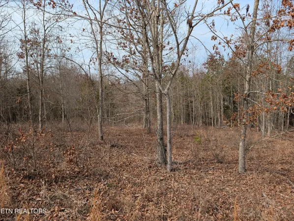 $39,900 | Lot 52 Taylor Way/fooshee Pass, Unit 52, Ten Mile, TN 37880