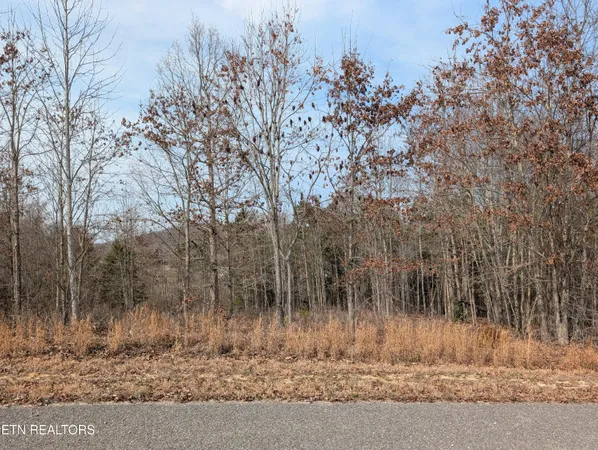 $39,900 | Lot 52 Taylor Way/fooshee Pass, Unit 52, Ten Mile, TN 37880