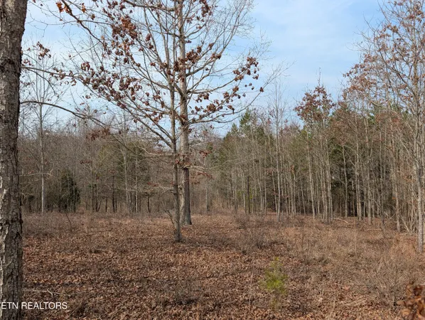 $39,900 | Lot 52 Taylor Way/fooshee Pass, Unit 52, Ten Mile, TN 37880