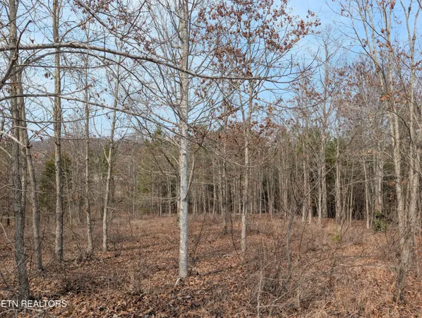 $39,900 | Lot 52 Taylor Way/fooshee Pass, Unit 52, Ten Mile, TN 37880