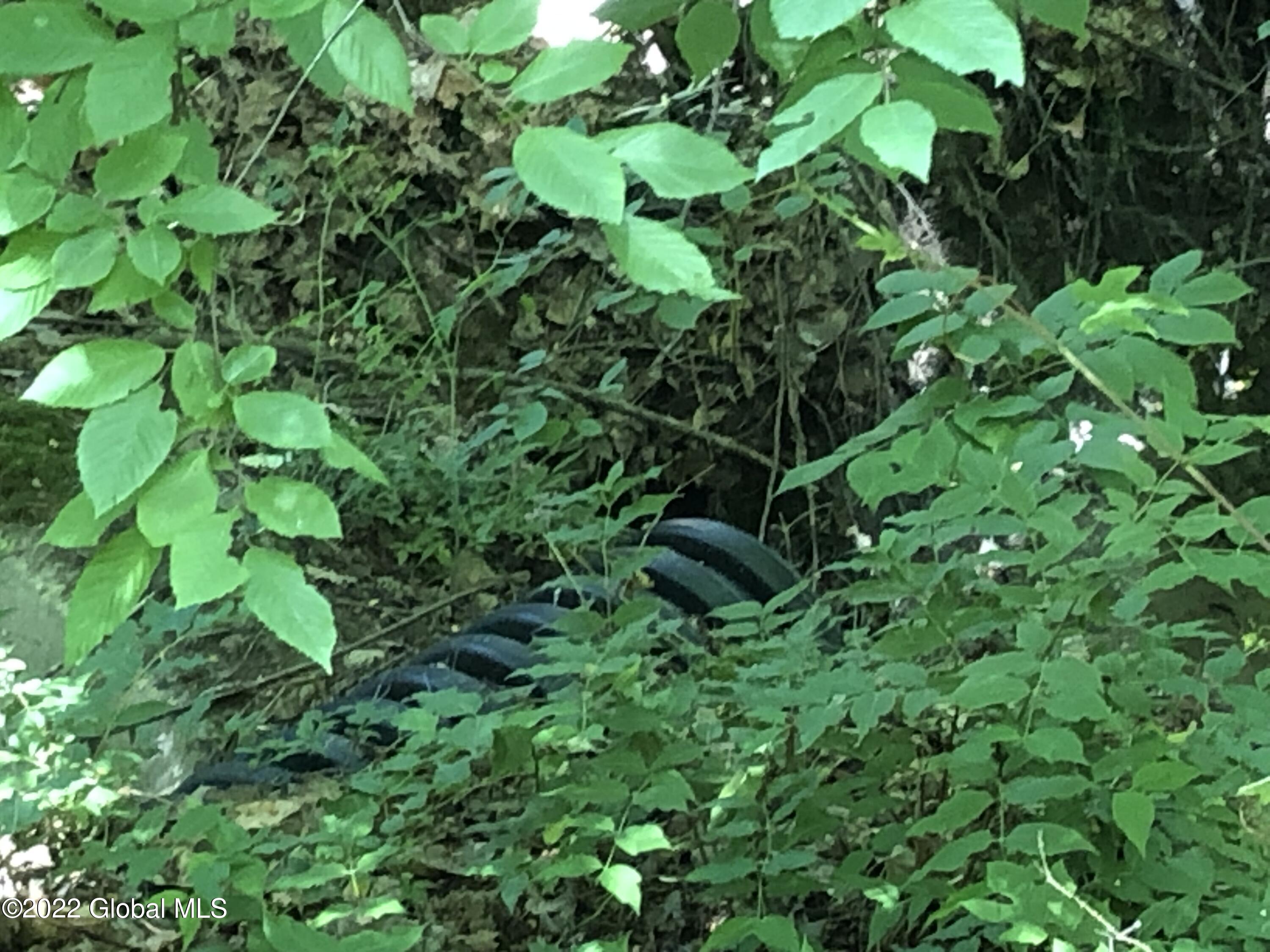 0 Captain's Cove Crown Point, NY 12928 - Photo 5 of 8 D0D179ED-E4E1-4C2F-AE98-A79137BF4D31