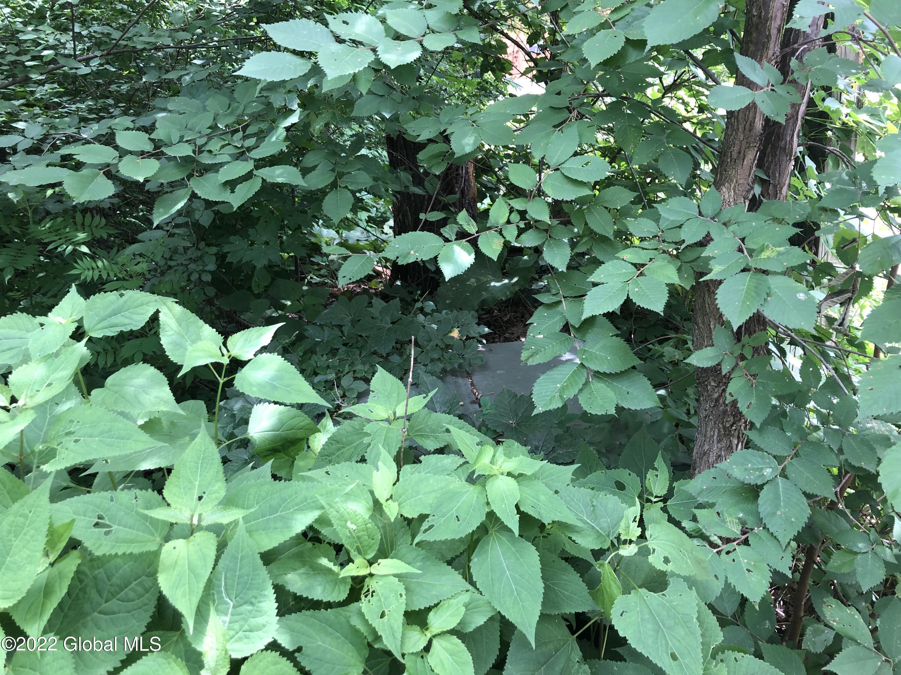 0 Captain's Cove Crown Point, NY 12928 - Photo 6 of 8 A441BEFA-BAA2-4E49-BBE2-F193C71C4FA9