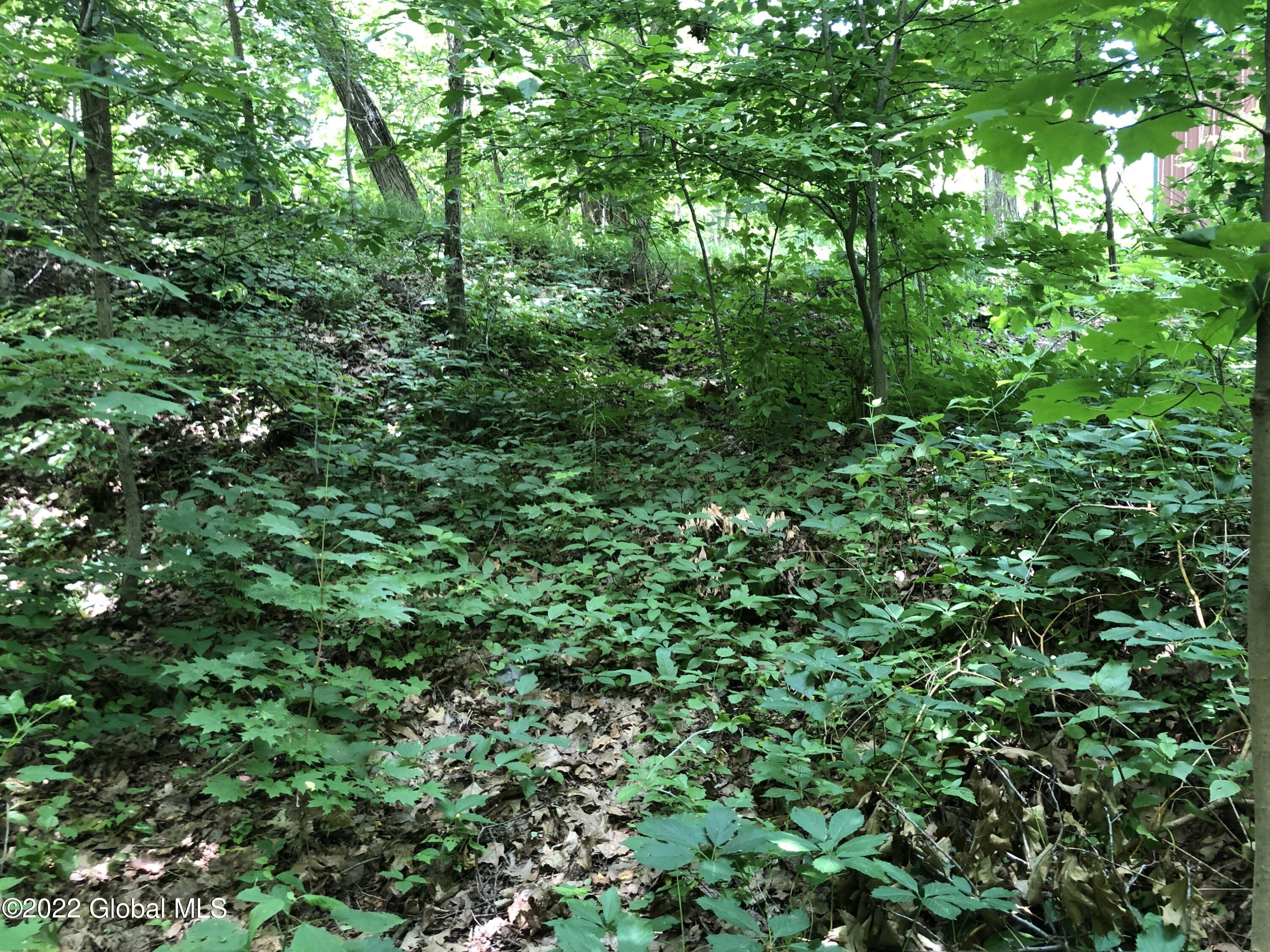 0 Captain's Cove Crown Point, NY 12928 - Photo 7 of 8 F8972E35-0FF8-4E78-AFFE-E935C2345711