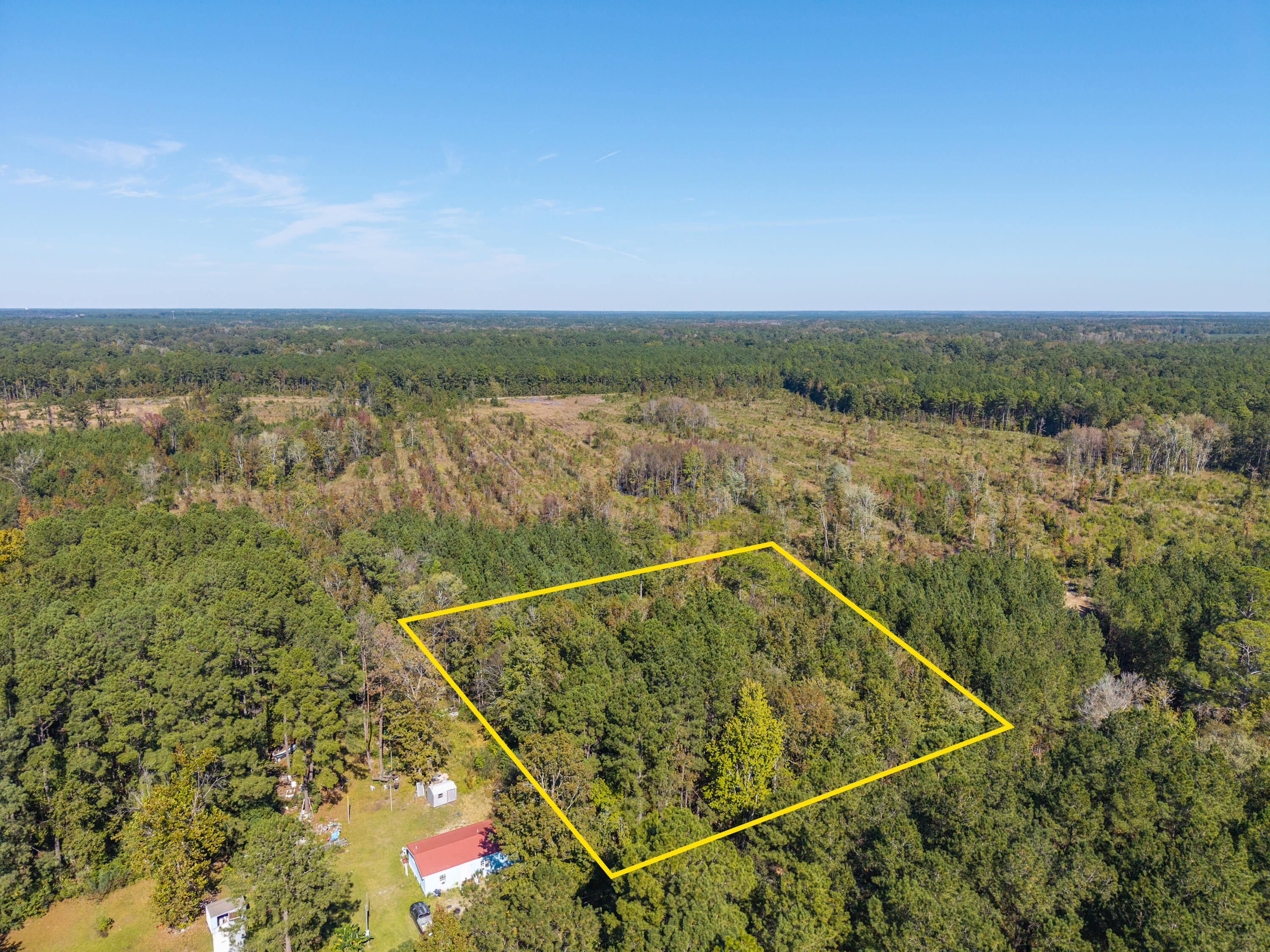 905 Peurifoy Road Walterboro, SC 29488 - Photo 11 of 29 Zyndicate3169-2