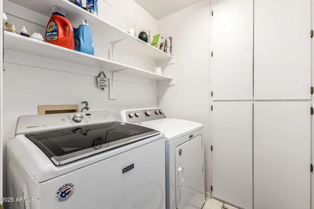 a living room with furniture a rug and a potted plant