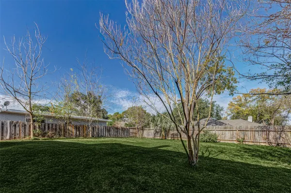 a view of a big yard with plants and large trees