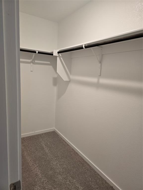 1165 Barbary Flds Street Forney, TX 75126 - Photo 17 of 24 a view of an empty walk in closet