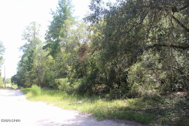 0 Bills Way Keystone Heights, FL 32656 - Photo 14 of 17 Gallery Image 14