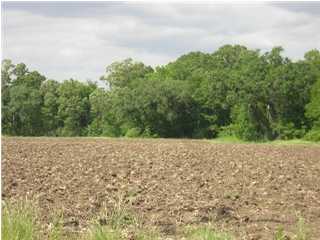 5 Sugar Oaks Road New Iberia, LA 70563 - Photo 1 of 7 Primary Photo