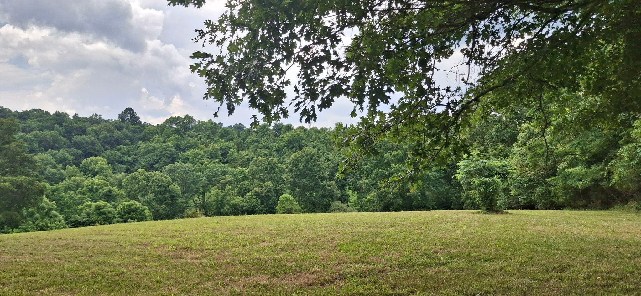 0 Tract 1 Cordova Road Williamstown, KY 41097 - Photo 3 of 7 1000054793