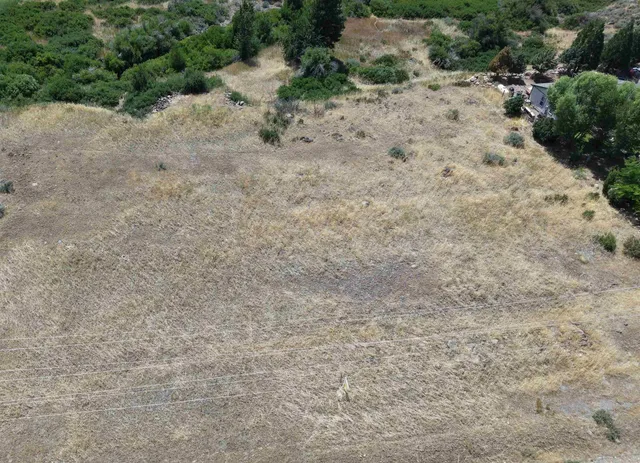 a view of a dry yard with trees in the background
