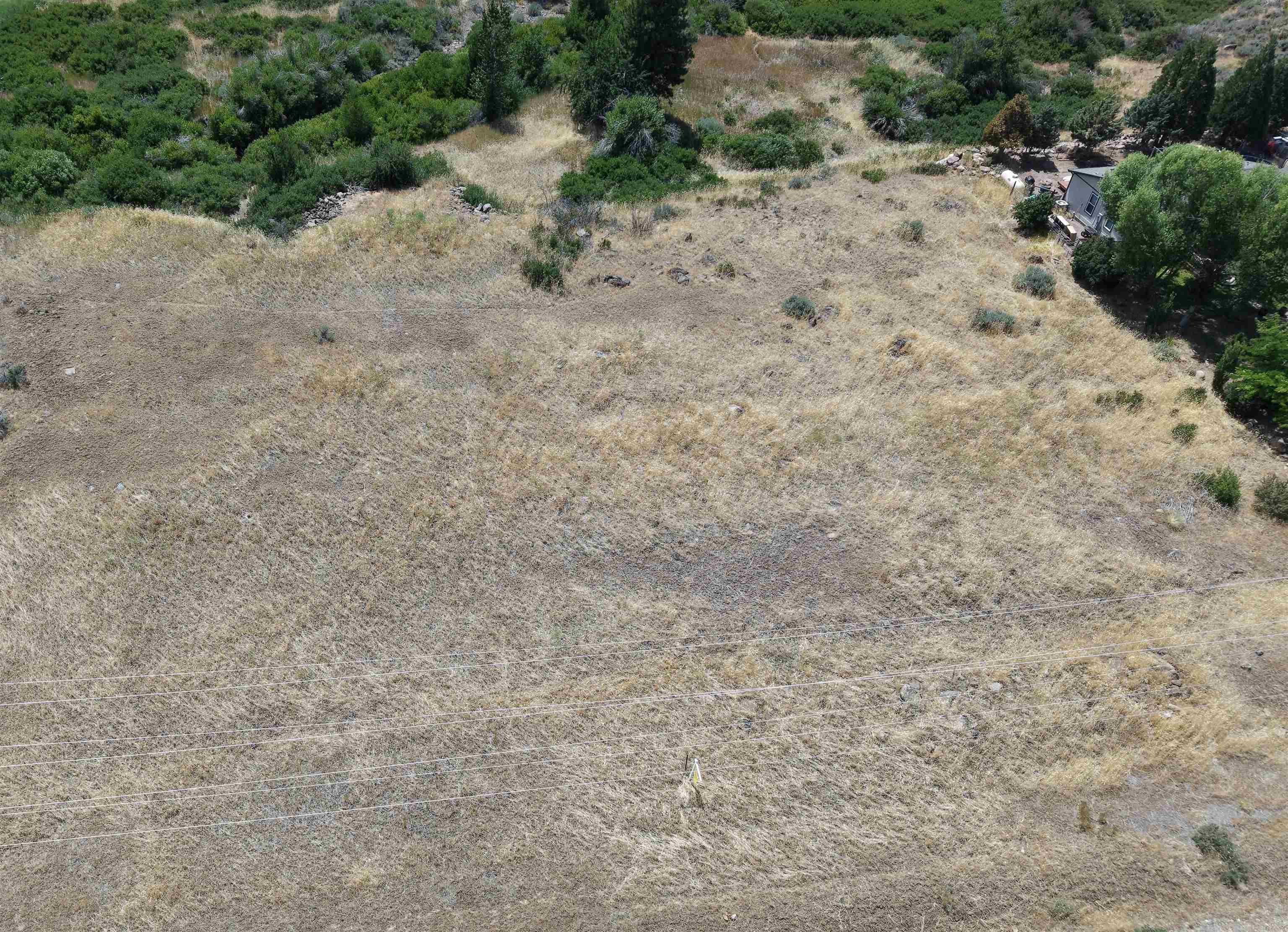 123 Smithneck Road Loyalton, CA 96118 - Photo 3 of 7 a view of a dry yard with trees in the background