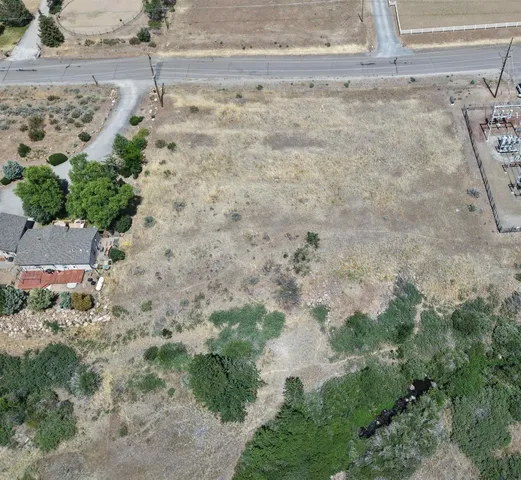 a view of a dry yard with lots of trees