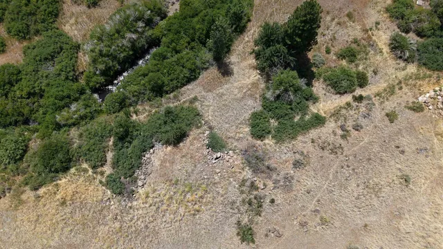 a view of a dry field with trees in the background