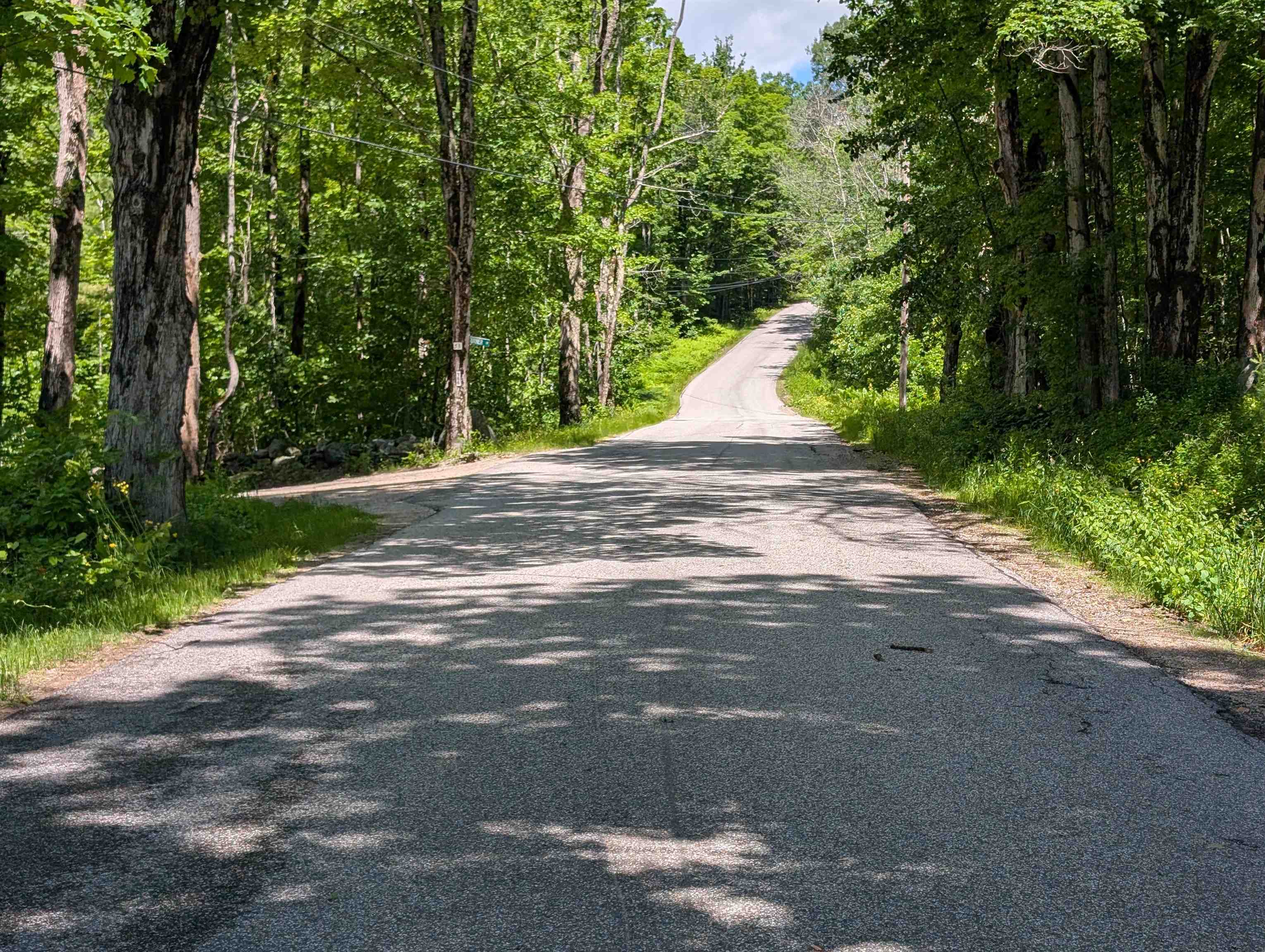 163 Maple Ridge Road Sandwich, NH 03259 - Photo 11 of 59