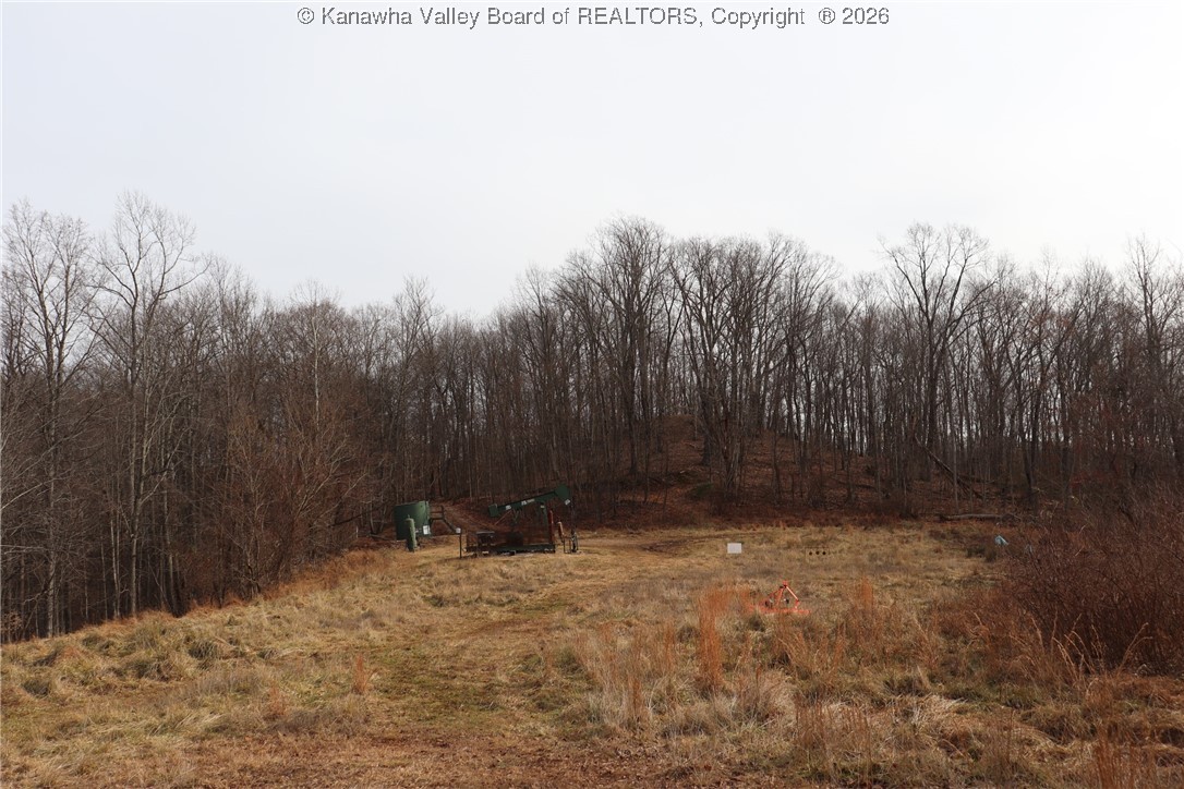 0 Route 12 Road Alum Creek, WV 25003 - Photo 34 of 44 Gallery Image 34