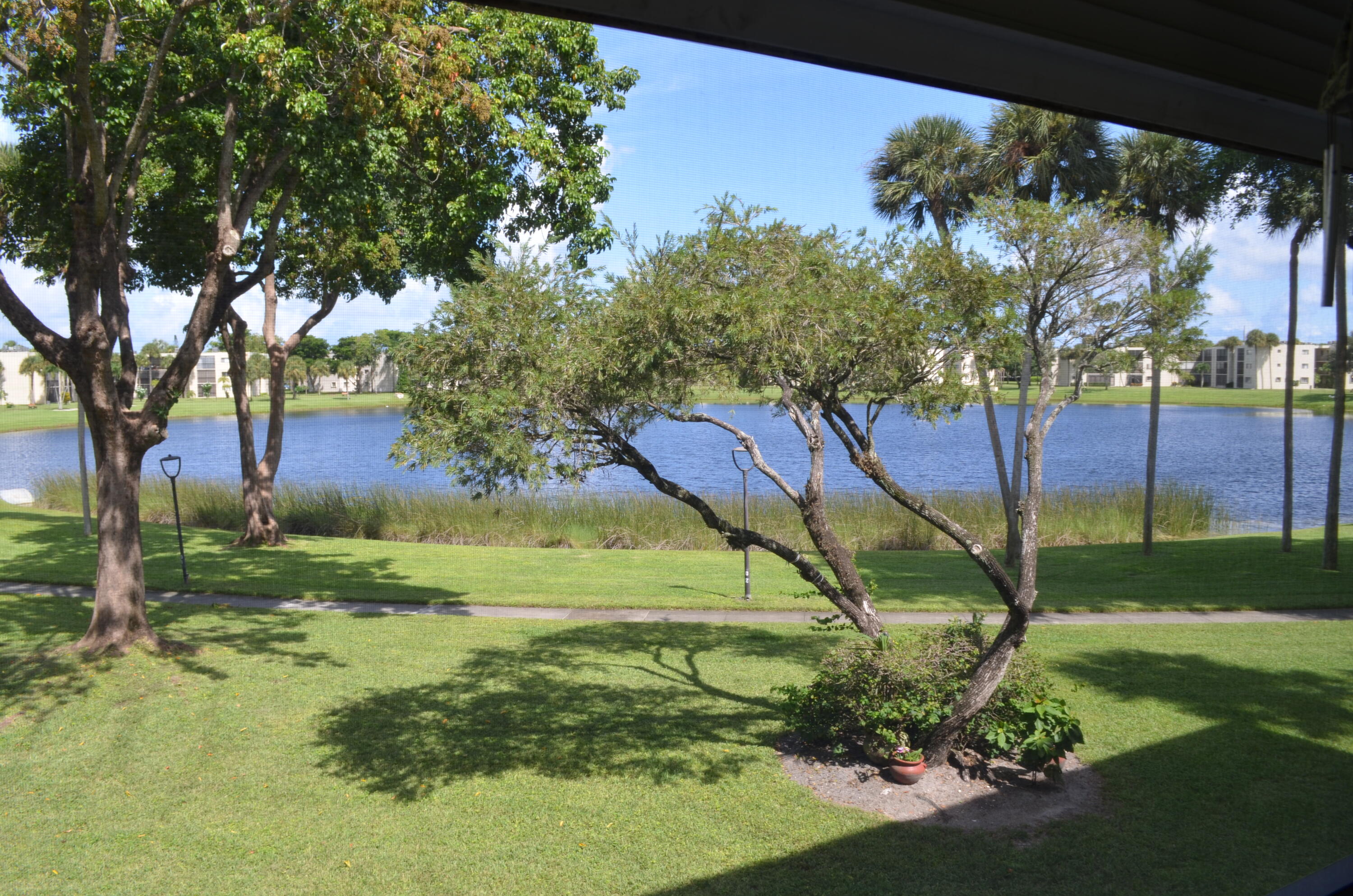 a view of a yard with a tree