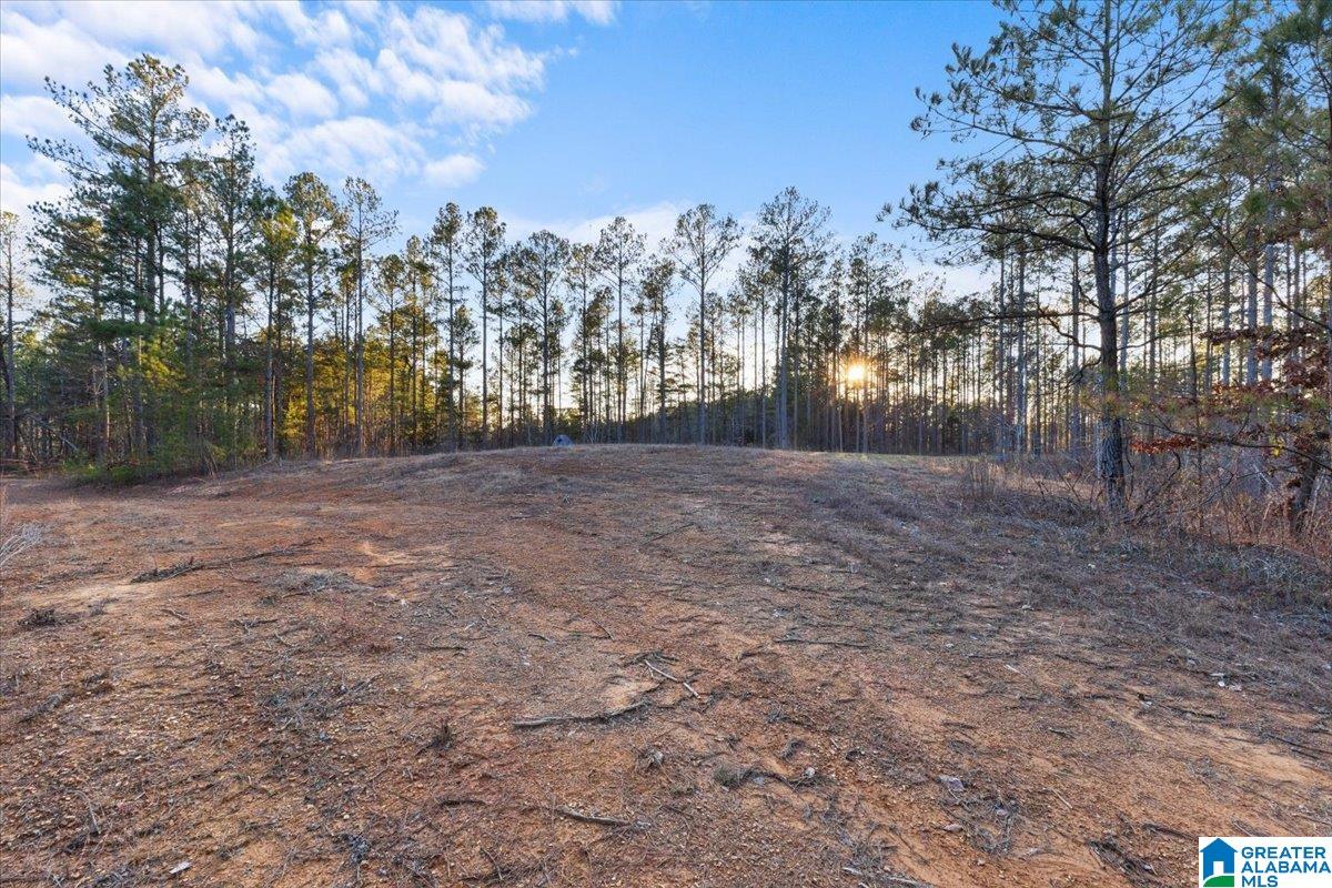 0 Smith Road Boaz, AL 35957 - Photo 3 of 27 Gallery Image 3