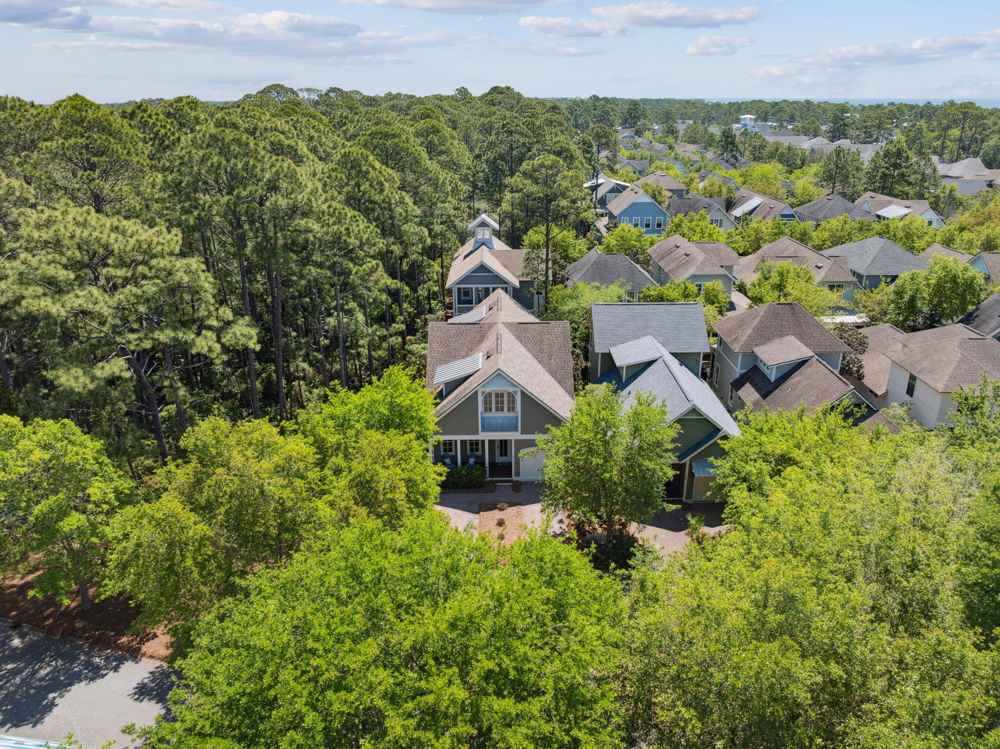 45 Plimsoll Way Santa Rosa Beach, FL 32459 - Photo 3 of 42 an aerial view of houses with yard